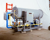 ظرفیت 5-300 Nm3 / h این ایمنی RX گاز ژنراتور سیستم Absorbiing حرارتی