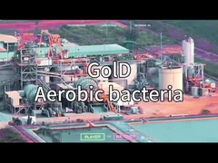 VSA VPSA ژنراتور اکسیژن